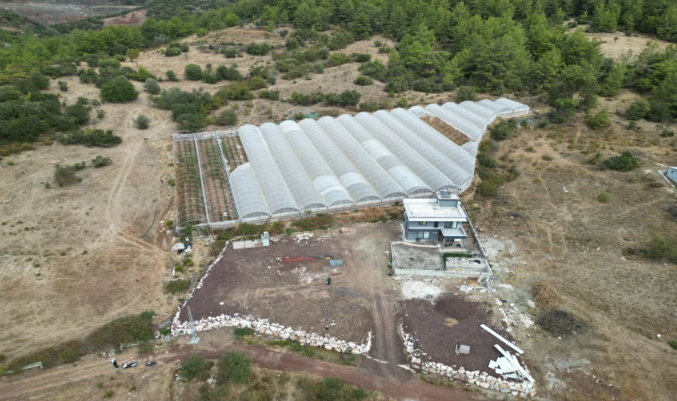 Komşusuna kızdı seraya giden yolu kapattı