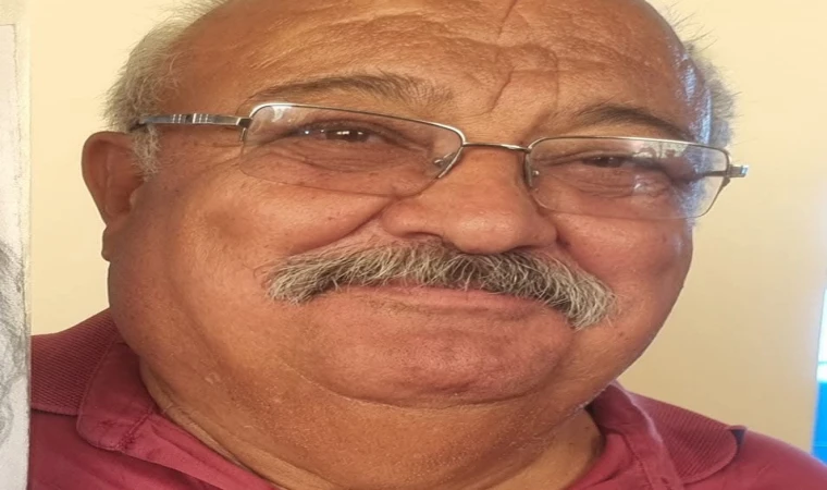 Şerafettin Kılınçer yazdı İkinci gezi harekatı denilebilir.