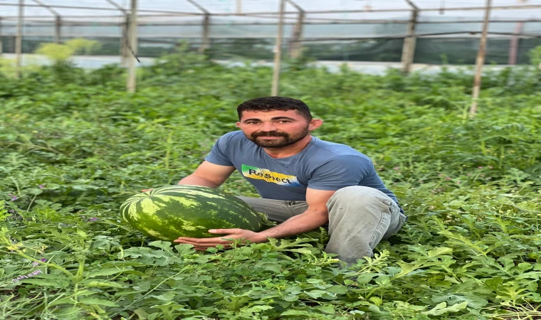 MEŞHUR KARACAÖREN KARPUZU 40 LİRADAN SATILIYOR
