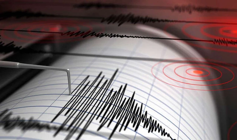 Muğla'da 4.9 şiddetinde deprem! Bodrum sallandı