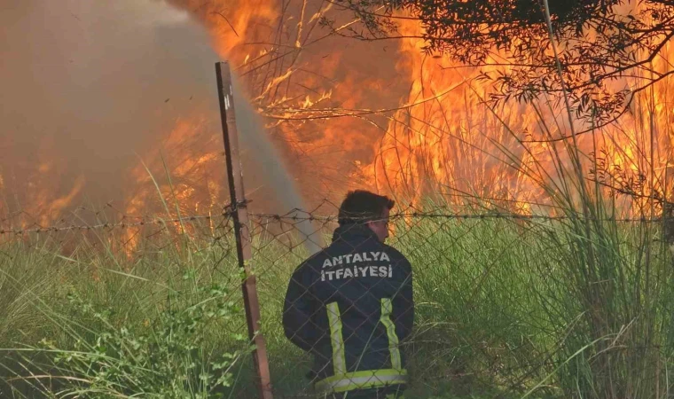 YANGINA MÜDAHALE ETTİLER