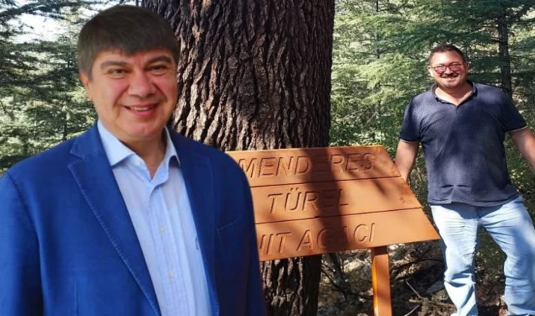 Kaş’taki 1000 yaşındaki sedir ağacına Menderes Türel’in ismi verildi