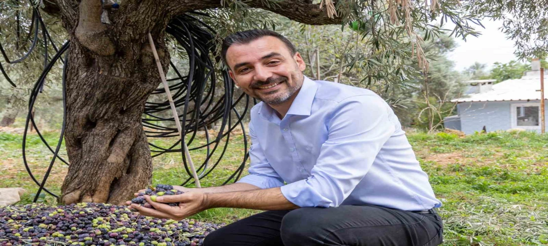 Manavgat’ta Zeytin ve Zeytinyağı Festivali’nin ikincisi başlıyor