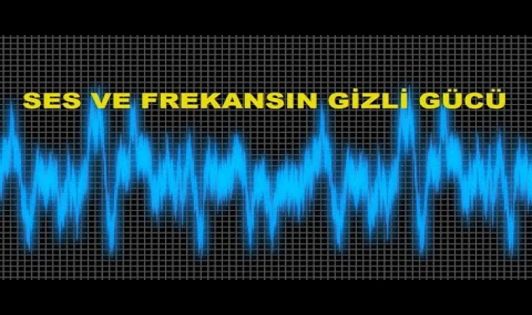 ERANDAÇLAR ÖRGÜTÜ; HAKAN FİDANIN EŞİNİN HASTALANDIRILMA İDDASI