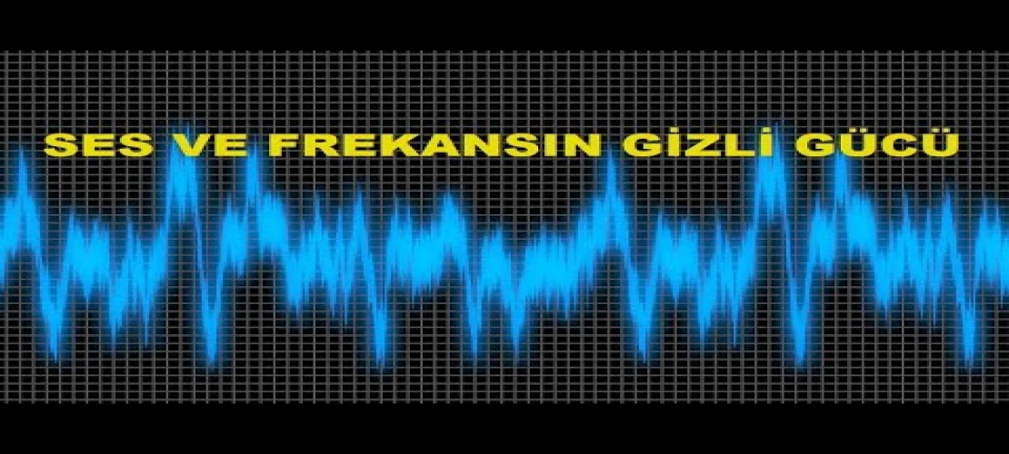 ERANDAÇLAR ÖRGÜTÜ; HAKAN FİDANIN EŞİNİN HASTALANDIRILMA İDDASI