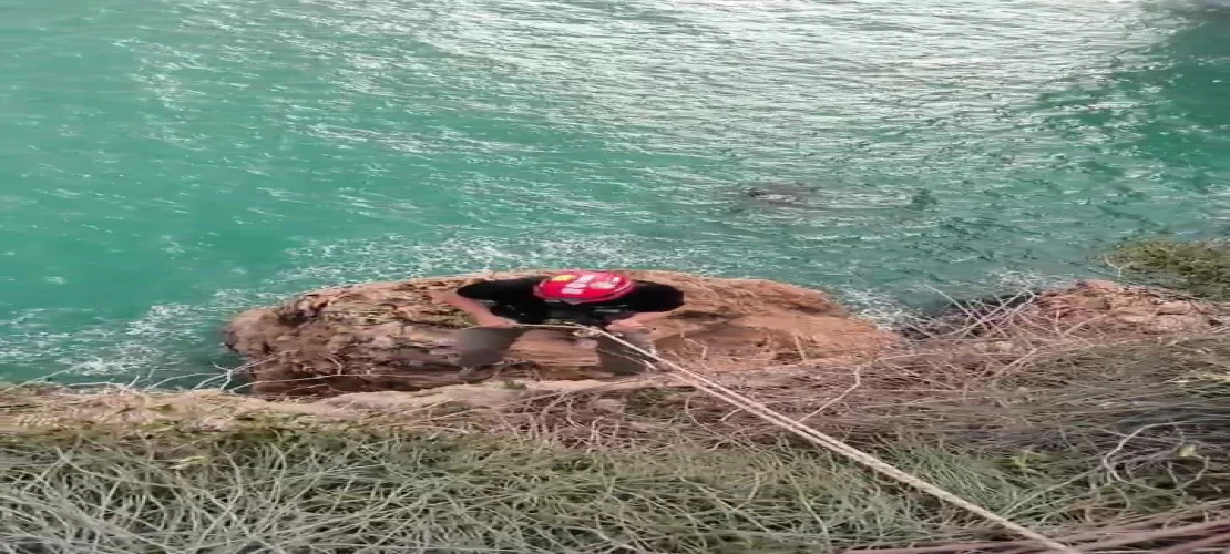 Falezlerde mahsur kalan kediyi film gibi operasyonla kurtardılar.