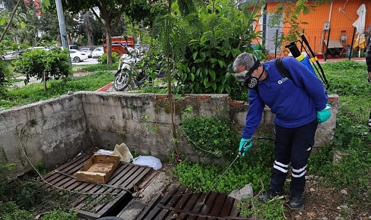 Büyükşehir’den sinek üreme alanlarında yoğun çalışma