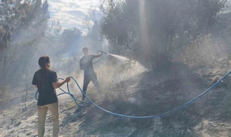 Antalya’da ormanlık alanda yangın