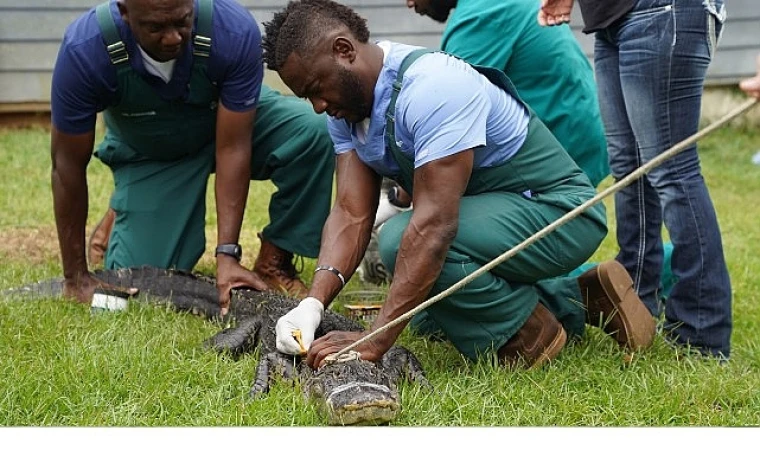 Veteriner Dostlar: En İyiler’, 30 Mayıs Cumartesi Saat 21.00’de National Geographic WILD Ekranlarında!