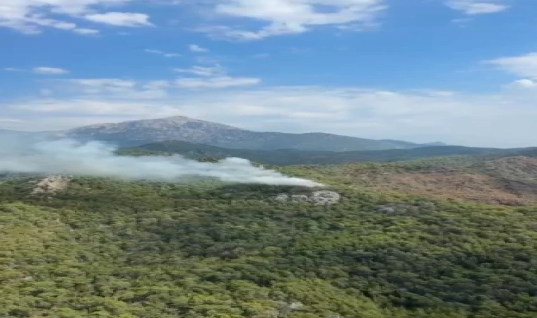 Kemer’deki orman yangını kontrol altına alındı