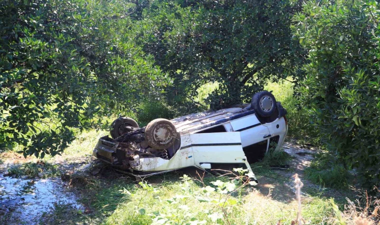 Önüne çıkan kediye çarpmamak için direksiyonu kırınca bahçeye uçtu