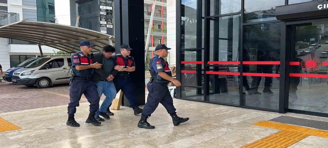 Alanya’da kuşlara vahşet uygulayan şüpheli tutuklandı