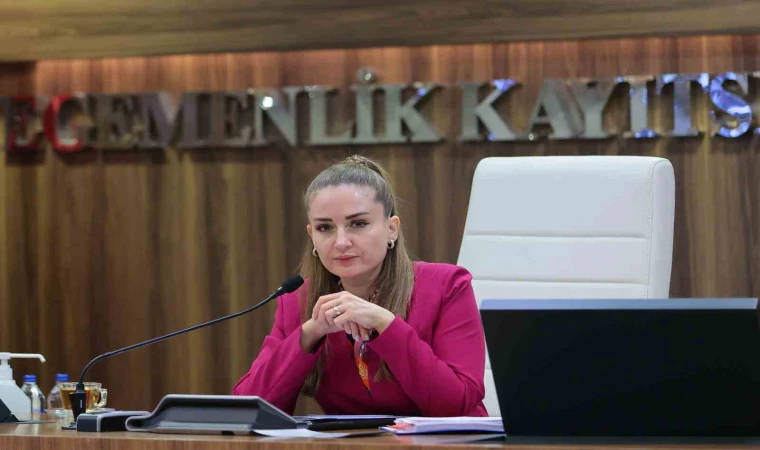 Özdemir: "Altıntaş çanağında biriken suyu denize ulaştırmak istiyoruz"