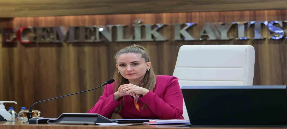 Özdemir: "Altıntaş çanağında biriken suyu denize ulaştırmak istiyoruz"