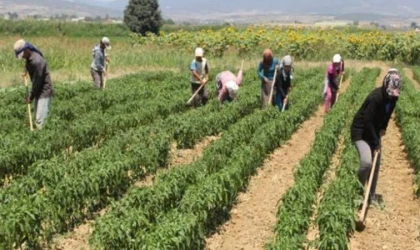 TARIM BAKANLIĞI O ÜRÜNÜ YASAKLADI
