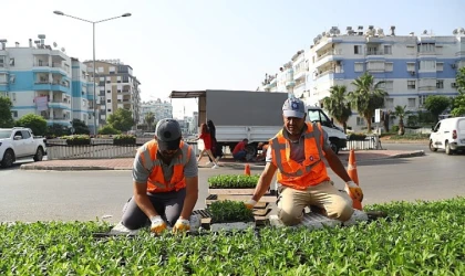 Antalya yazlık çiçeklerle rengarenk olacak