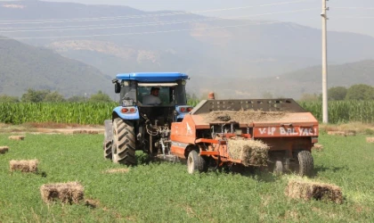 Muğlalı üreticinin yüzü gülüyor