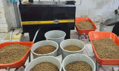 Muğla’da can dostlar için binlerce kilo mama üretildi