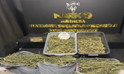 Antalya’da 13 kilogram skunk ele geçirildi
