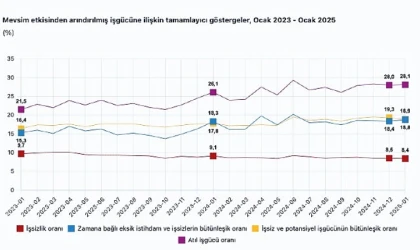 Tüik: Mevsim etkisinden arındırılmış işsizlik oranı %8,4 seviyesinde gerçekleşti