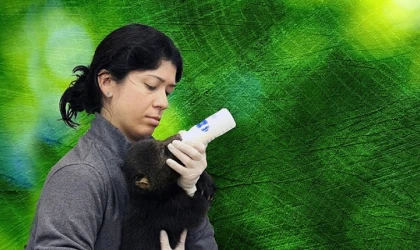 : Vahşi Taraf’, 5 Mayıs Pazartesi Günü 20.00’de National Geographic WILD Ekranlarında!