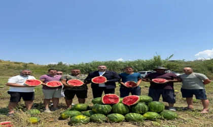 CHP’li Kaya: Tarım Bakanı sahaya inmeli