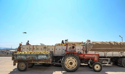 Manavgat Yeni Hal Toptancı Kompleksi üreticilerin ve tüccarların yüzlerini güldürüyor