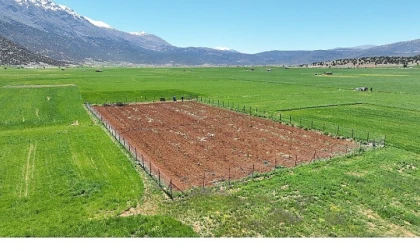 Büyükşehir Belediyesi’nden tarımsal sulamaya büyük destek