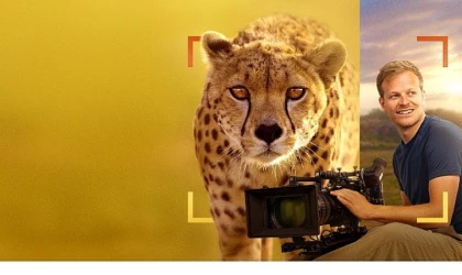 'Bertie Gregory Çitalarla Yüz Yüze’, 3 Ocak Cumartesi 20.00’de National Geographic WILD Ekranlarında!