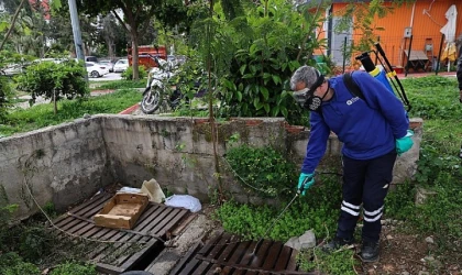 Büyükşehir’den sinek üreme alanlarında yoğun çalışma