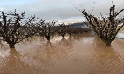 Elmalı’da dereler taştı, tarım alanları sular altında kaldı