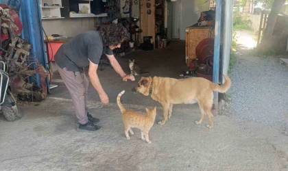 Gözleri görmeyen köpeğe 13 yıldır evladı gibi bakıyor