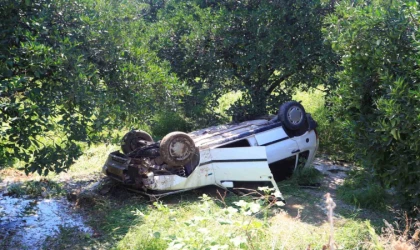 Önüne çıkan kediye çarpmamak için direksiyonu kırınca bahçeye uçtu