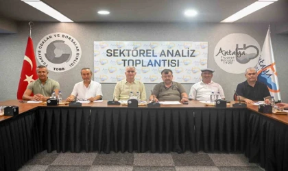 Zeytinde rekolte beklentisi yüzde 40 arttı