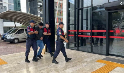 Alanya’da kuşlara vahşet uygulayan şüpheli tutuklandı
