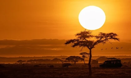 National Geographic NOW Seç-İzle Servisinin Ekim Ayı Teması 'Afrika’!