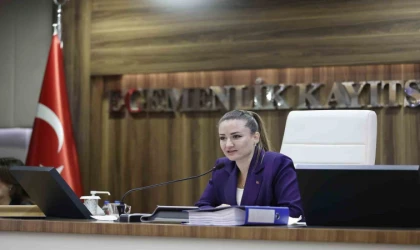 Özdemir:"Biraz daha nezaketli davranmalarını rica ediyorum"